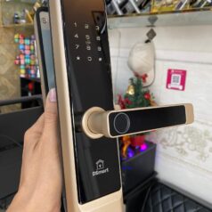 Khóa điện tử vân tay DSmart PN01T màu vàng gold