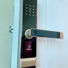 Khóa vân tay DSmart PN01T màu vàng gold trên cửa thực tế