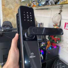 Trang chủ 123 Khóa cửa thông minh DSmart PN03T smartlock màu đen black
