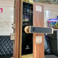 Khóa điện tử vân tay DSmart PN02T màu vàng gold