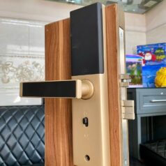 Khóa vân tay DSmart PN02T màu vàng gold