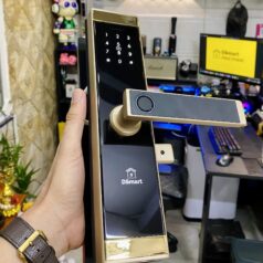 Trang chủ 130 Khóa điện tử vân tay DSmart PN02T App TTLOCK