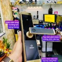 Trang chủ 129 Khóa điện tử vân tay DSmart PN02T màu đen black cho cửa gỗ
