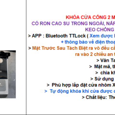 Khóa Cửa Cổng DSmart 2C38T Vân Tay 2 chiều CHỐNG NƯỚC 9 Khóa Cửa Cổng ngoài trời DSmart 2C38T chống mưa