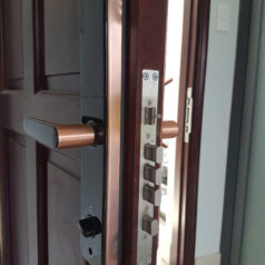 Khóa điện tử vân tay DSmart PL33T cho cửa gỗ, chung cư