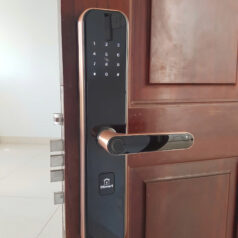 Khóa điện tử vân tay DSmart PL33T cho cửa gỗ, chung cư