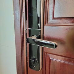 Khóa điện tử vân tay DSmart PL33T cho cửa gỗ, chung cư