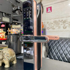 Khóa điện tử vân tay DSmart PL33T cho cửa gỗ, chung cư