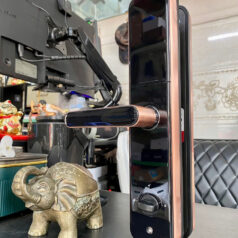 Khóa điện tử vân tay DSmart PL33T cho cửa gỗ, chung cư