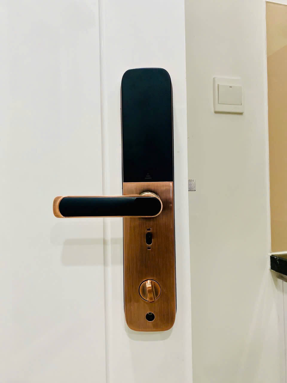 Khóa vân tay thẻ từ DSmart PL36T cho cửa gỗ, căn hộ Khóa Điện Tử Vân Tay PL36T DSmartLock