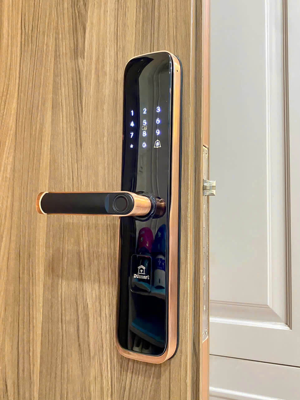 Khóa vân tay thẻ từ DSmart PL36T cho cửa gỗ, căn hộ Khóa vân tay thẻ từ DSmart PL36T cho cửa gỗ, căn hộ