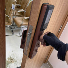 Khóa điện tử Face ID Nhận Dạng Khuôn Mặt DSmart PLA01T 7 Khóa Cửa Gỗ Thông Minh Nhận Dạng Khuôn Mặt FaceID Wifi DSmart PLA01T TTLock