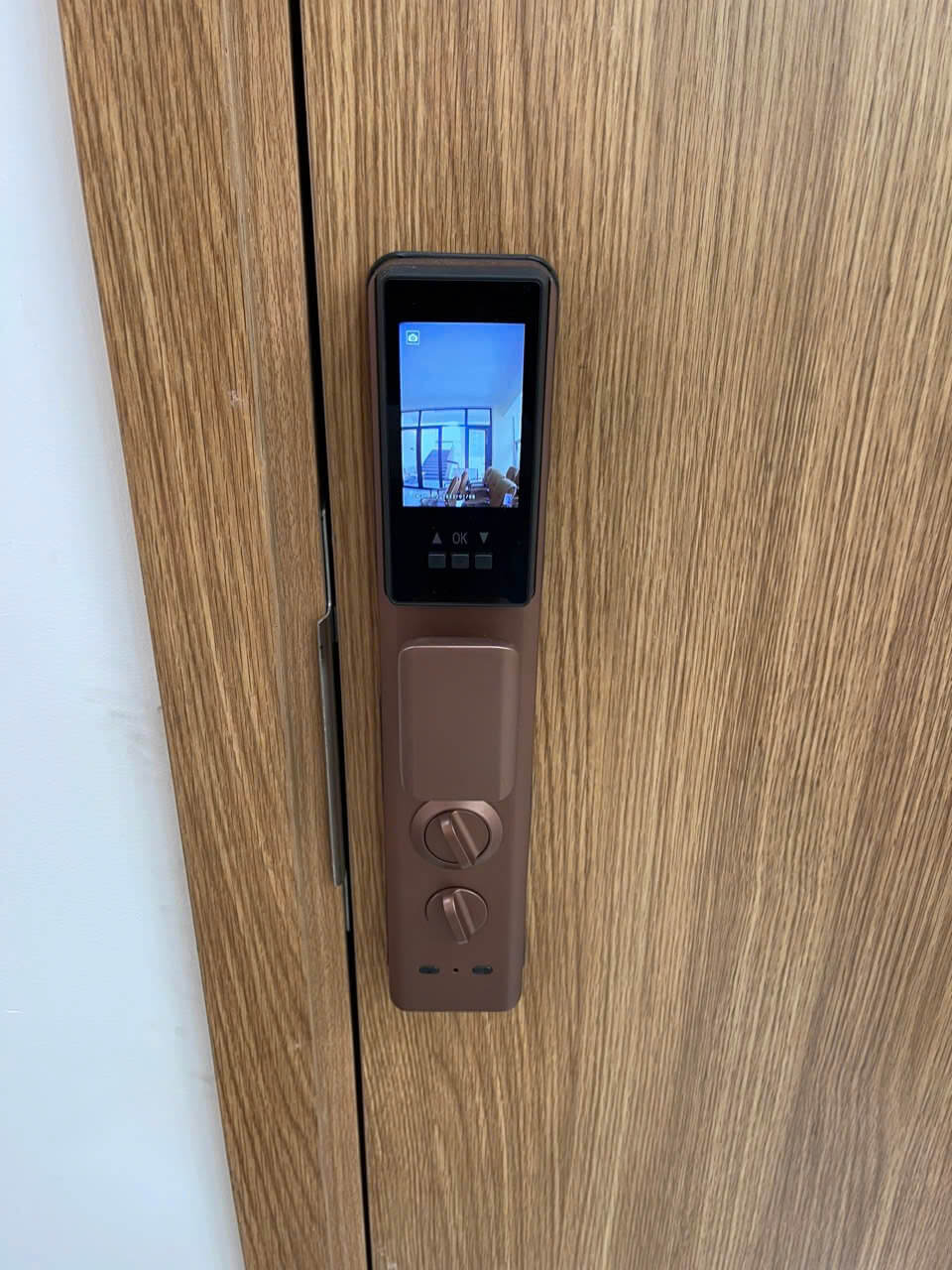 Khóa Cửa Gỗ Thông Minh Nhận Dạng Khuôn Mặt FaceID Wifi DSmart PLA01T TTLock Khóa Cửa Gỗ Thông Minh Nhận Dạng Khuôn Mặt FaceID Wifi DSmart PLA01T TTLock