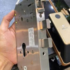 Khóa Cửa Gỗ Thông Minh Chốt Tự Động FaceID DSmart PLA02T TTLock 8 Khóa Cửa Gỗ Thông Minh Chốt Tự Động FaceID DSmart PLA02T TTLock