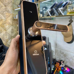 Khóa điện tử cửa gỗ vân tay DSmart PN06T 4 Khóa điện tử cửa gỗ vân tay Dsmart PN06T