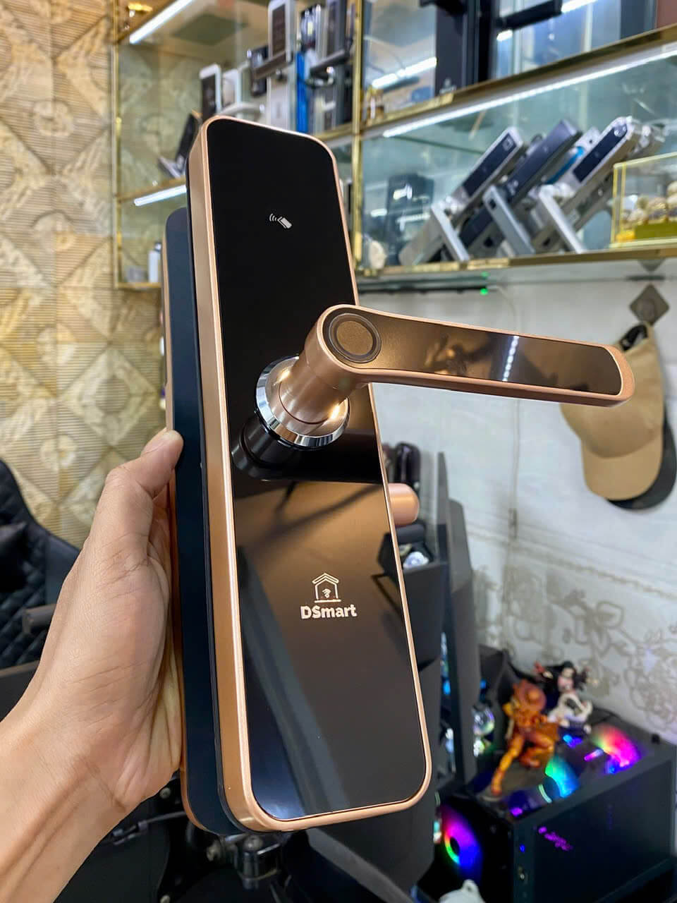 Khóa cửa gỗ Dsmart PN06T vân tay thông minh màu đồng Khóa điện tử cửa gỗ vân tay Dsmart PN06T