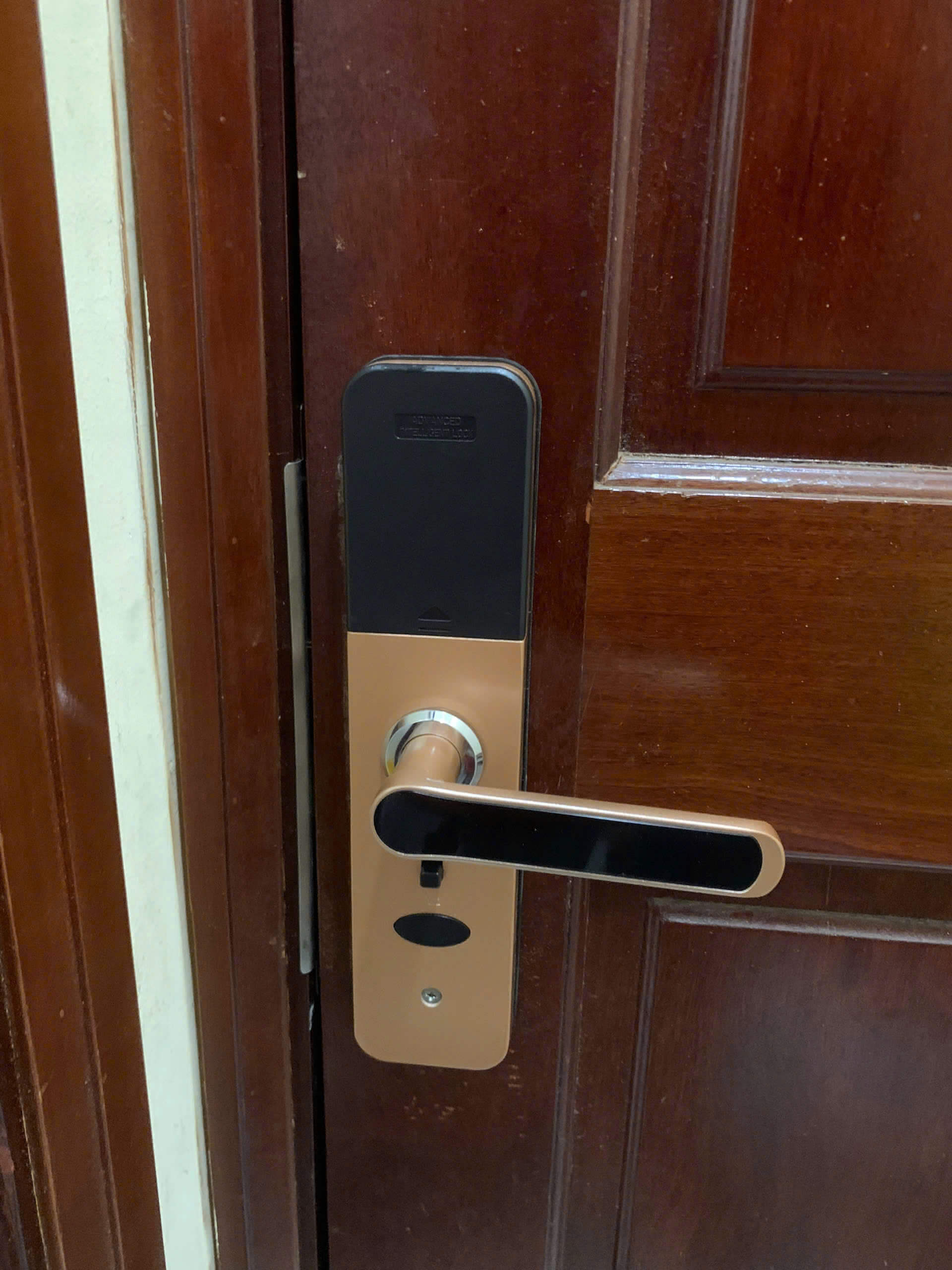 Khóa cửa gỗ Dsmart PN06T vân tay thông minh Khóa điện tử cửa gỗ vân tay Dsmart PN06T