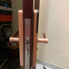 Khóa điện tử cửa gỗ vân tay DSmart PN06T 6 Khóa điện tử cửa gỗ vân tay Dsmart PN06T