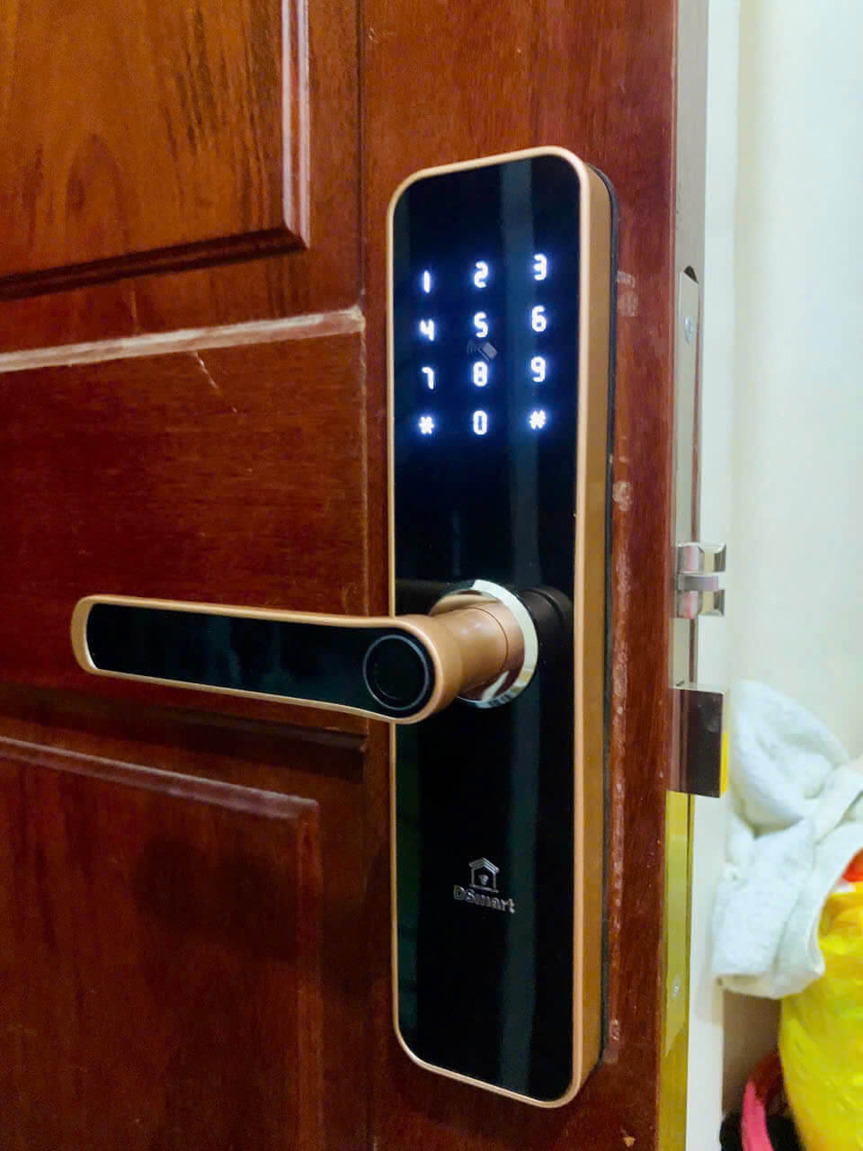Khóa cửa gỗ Dsmart PN06T vân tay thông minh màu đồng Khóa điện tử cửa gỗ vân tay Dsmart PN06T