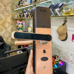 Khóa điện tử cửa gỗ vân tay DSmart PN06T 11 Khóa điện tử cửa gỗ vân tay Dsmart PN06T