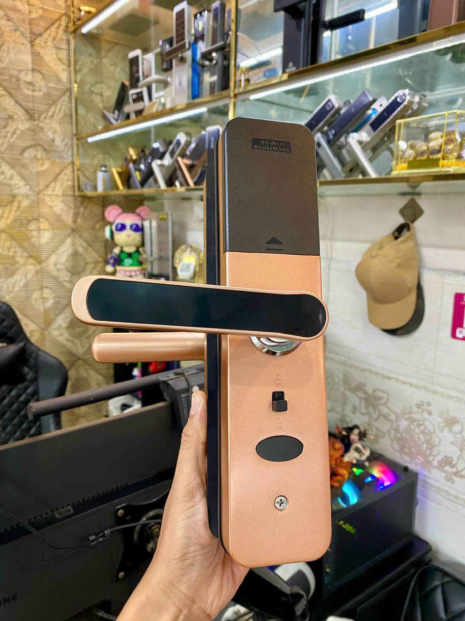 Khóa cửa gỗ Dsmart PN06T vân tay thông minh màu đồng Khóa điện tử cửa gỗ vân tay Dsmart PN06T