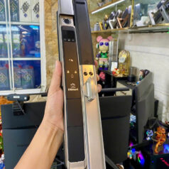 Khóa điện tử vân tay FaceID DSmart NX79T-F App TTLock