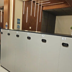 KHÓA ĐIỆN TỬ CỬA TỦ NGĂN KÉO DSMART K11