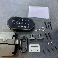 KHÓA ĐIỆN TỬ CỬA TỦ NGĂN KÉO DSMART K11