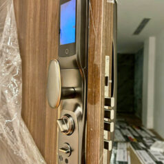 Khóa Vân Tay Thông Minh DSmart PLA11Y - App Tuya 7 Khóa Vân Tay Thông Minh DSmart PLA11Y - App Tuya