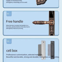 Khóa điện tử tân cổ điển DSmart CDN39T vân tay 2 chiều 12 Khóa điện tử tân cổ điển DSmart CDN39T