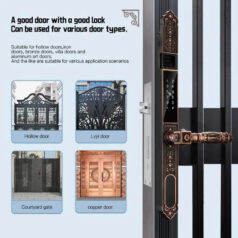 Khóa điện tử tân cổ điển DSmart CDN39T vân tay 2 chiều 16 Khóa điện tử tân cổ điển DSmart CDN39T