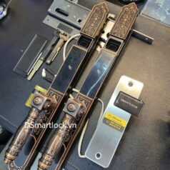 Khóa điện tử tân cổ điển DSmart CDN39T vân tay 2 chiều 5 Khóa điện tử tân cổ điển DSmart CDN39T