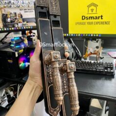 Trang chủ 182 Khóa điện tử tân cổ điển DSmart CDN39T