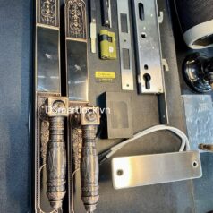 Khóa điện tử tân cổ điển DSmart CDN39T vân tay 2 chiều 6 Khóa vân tay 2 mặt cho cửa cổng biệt thự DSmart CDN39T