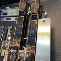 Khóa điện tử tân cổ điển DSmart CDN39T vân tay 2 chiều 7 Khóa vân tay 2 mặt cho cửa cổng biệt thự DSmart CDN39T