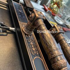 Khóa điện tử tân cổ điển DSmart CDN39T vân tay 2 chiều 8 Khóa vân tay 2 mặt cho cửa cổng biệt thự DSmart CDN39T