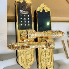 Khóa Điện Tử Tân Cổ Điển Cửa Sảnh Đồng DSmart DTP39