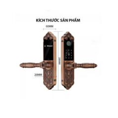 Khóa Điện Tử Tân Cổ Điển Cửa Sảnh Đồng DSmart DTP39