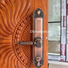 Khóa điện tử tân cổ điển DSmart DS68Y App TUYA 13 Khóa điện tử tân cổ điển DSmart DS68Y App TUYA