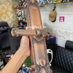 Khóa điện tử tân cổ điển DSmart DS68Y App TUYA 11 Khóa điện tử tân cổ điển DSmart DS68Y App TUYA