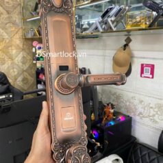 Khóa điện tử tân cổ điển DSmart DS68Y App TUYA 10 Khóa điện tử tân cổ điển DSmart DS68Y App TUYA