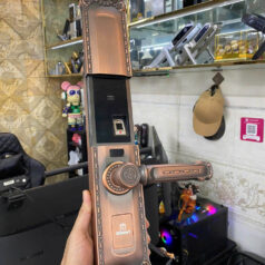 Khóa điện tử tân cổ điển DSmart DS68Y App TUYA 9 Khóa điện tử tân cổ điển DSmart DS68Y App TUYA