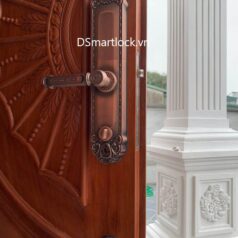Khóa điện tử tân cổ điển DSmart DS68Y App TUYA 7 Khóa điện tử tân cổ điển DSmart DS68Y App TUYA