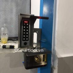 Đầu đọc vân tay DSmart DD39T App TTLock Bluetooth 8 Đầu đọc vân tay DSmart DD39T App TTLock Bluetooth