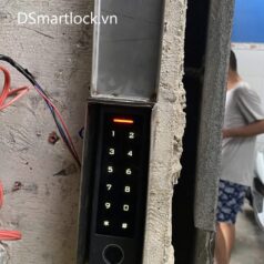 Đầu đọc vân tay DSmart DD38T App TTLock Bluetooth