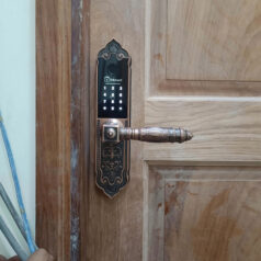 hình ảnh thực tế khóa vân cổ điển cho cửa gỗ DSmart DTP38, bảo hành lâu