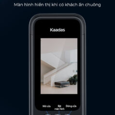 Khóa Cửa Điện Tử Kaadas Q9-FVP