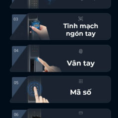 Khóa Cửa Điện Tử Kaadas Q9-FVP