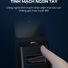 Khóa Cửa Điện Tử Kaadas Q9-FVP
