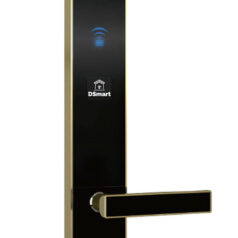Khóa điện tử thẻ từ quản lí khách sạn DSmart H13F 12 Khóa điện tử thẻ từ quản lí khách sạn DSmart H13F